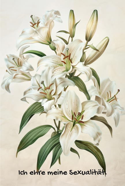 Lilien
